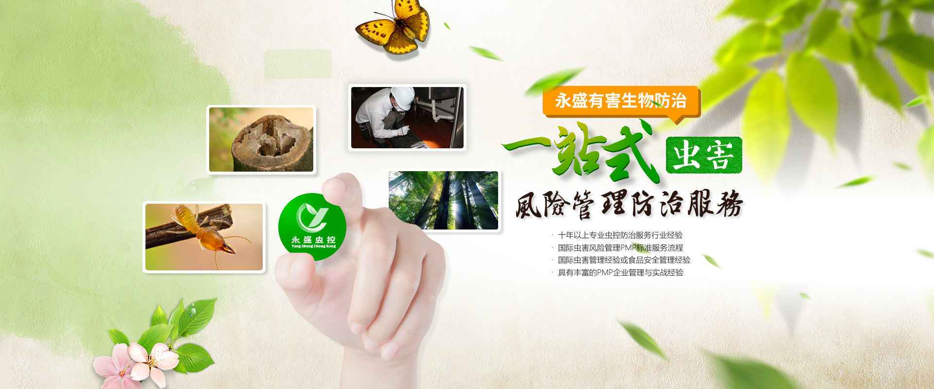 中山除甲醛，中山滅白蟻公司網(wǎng)站banner圖